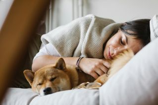 A woman and her Akita Inu resting peacefully on a couch, capturing the essence of comfort and companionship.